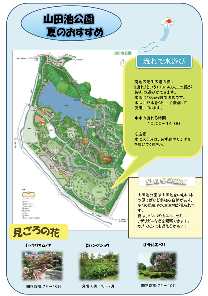 山田池公園だより第４号 夏（夏のおすすめ）