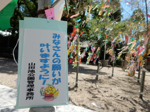 機物神社写真