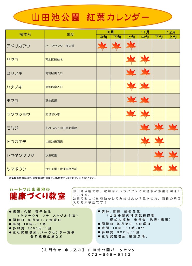 公園だより秋2019（2）