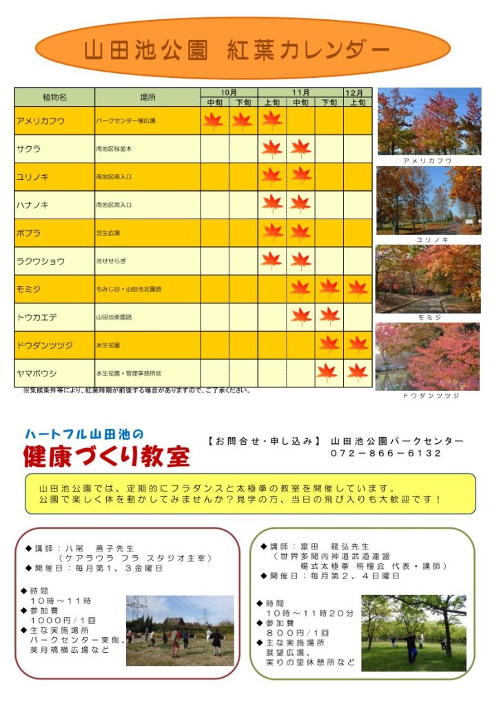 公園だより2020秋号