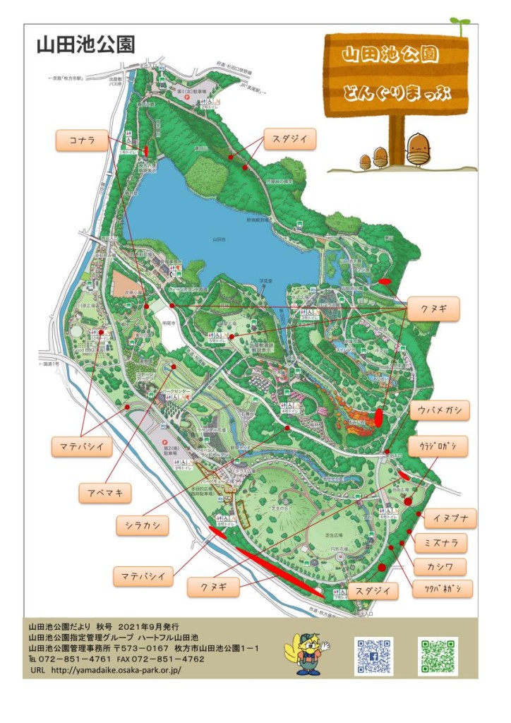 山田池公園だより秋３０号