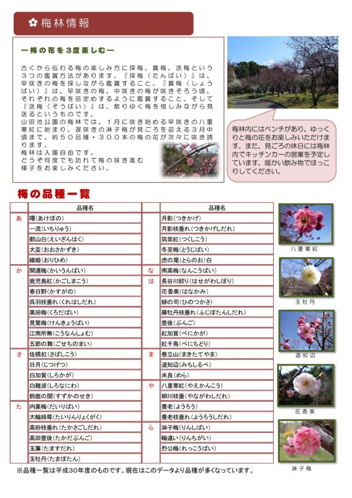 山田池公園だより３１号