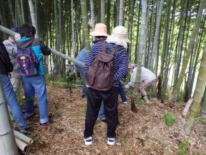 竹林管理体験写真