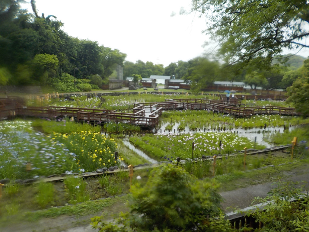 DSCN6055