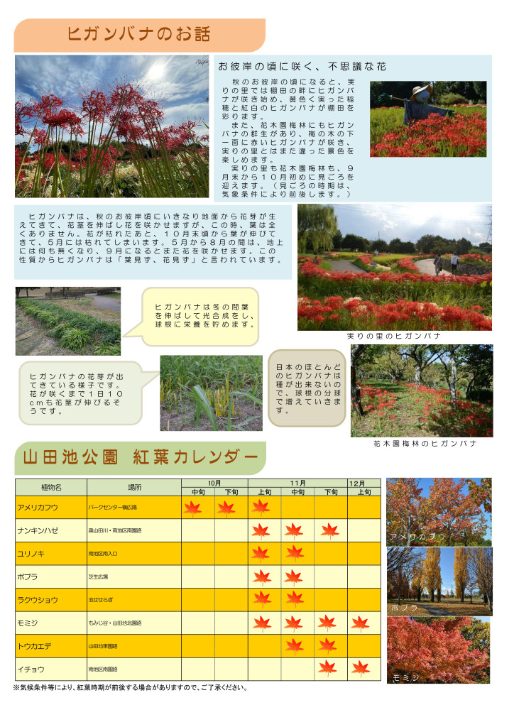山田池公園だより