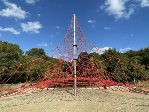 ザイルクライミング